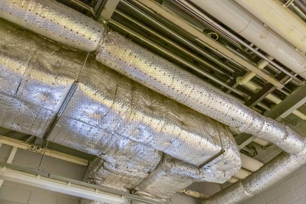 Best Local Air Duct Cleaning Services  in USA